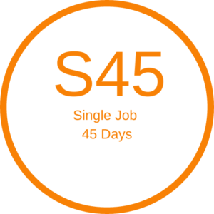 Job Single 45 Days $100 Special